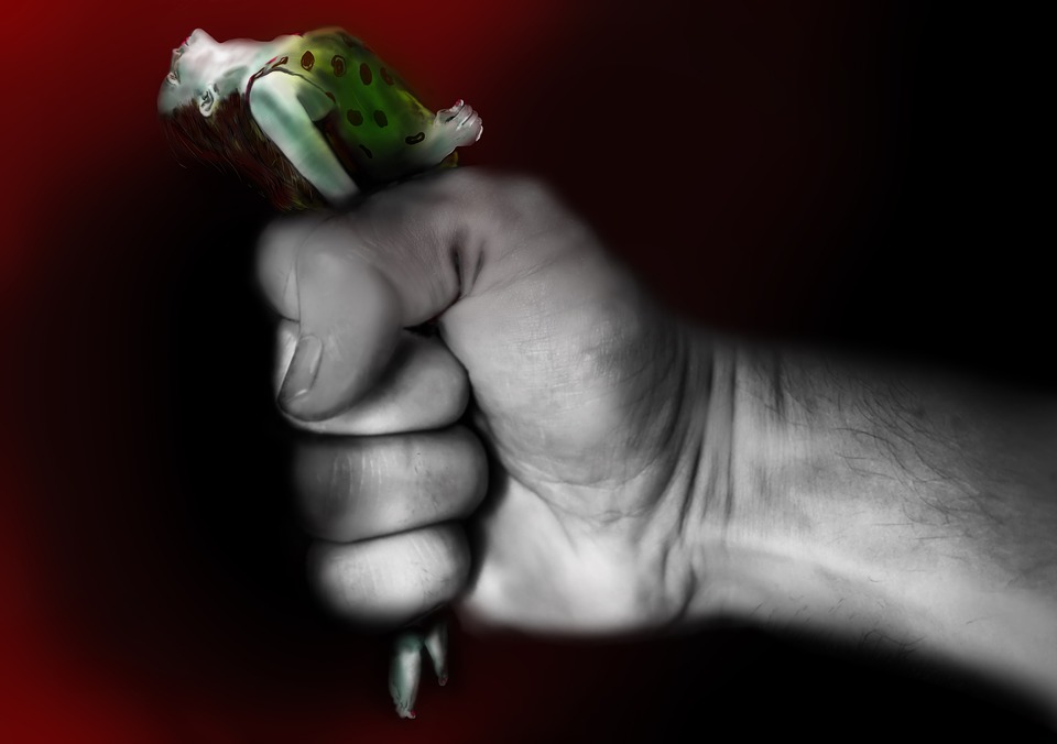 Les différentes formes de violence